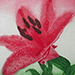 Emiko Aida Gallery